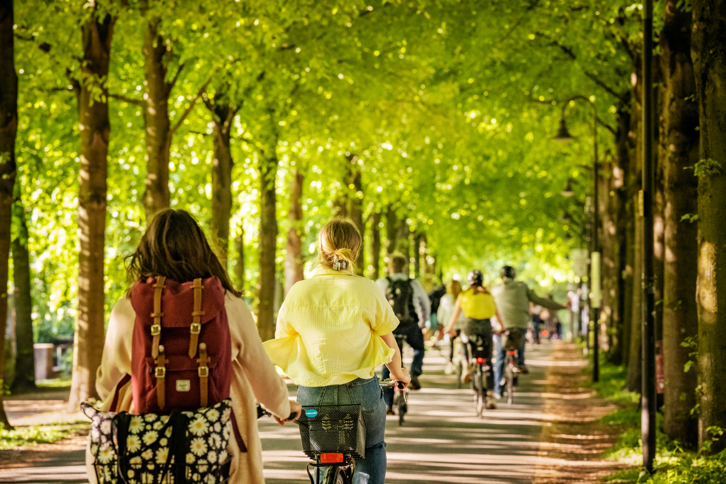 Radfahrende auf der Promenade in Münster
