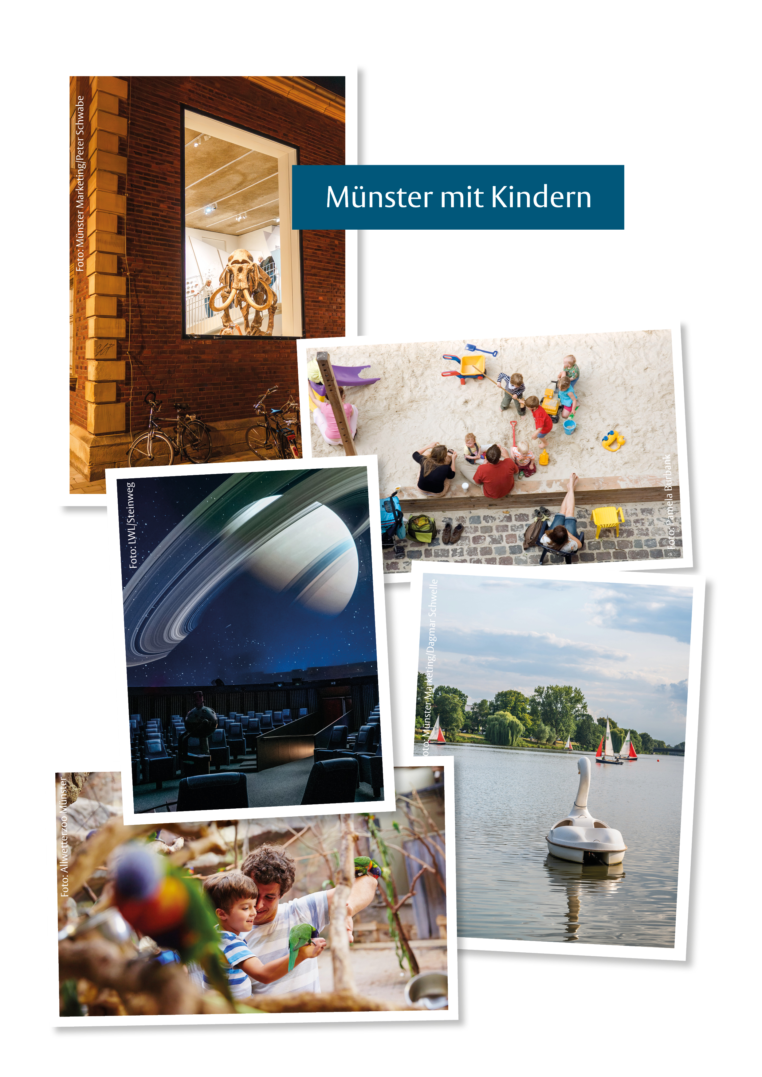 Collage mit Münster-Bildern für den Guide "Münster mit Kindern"