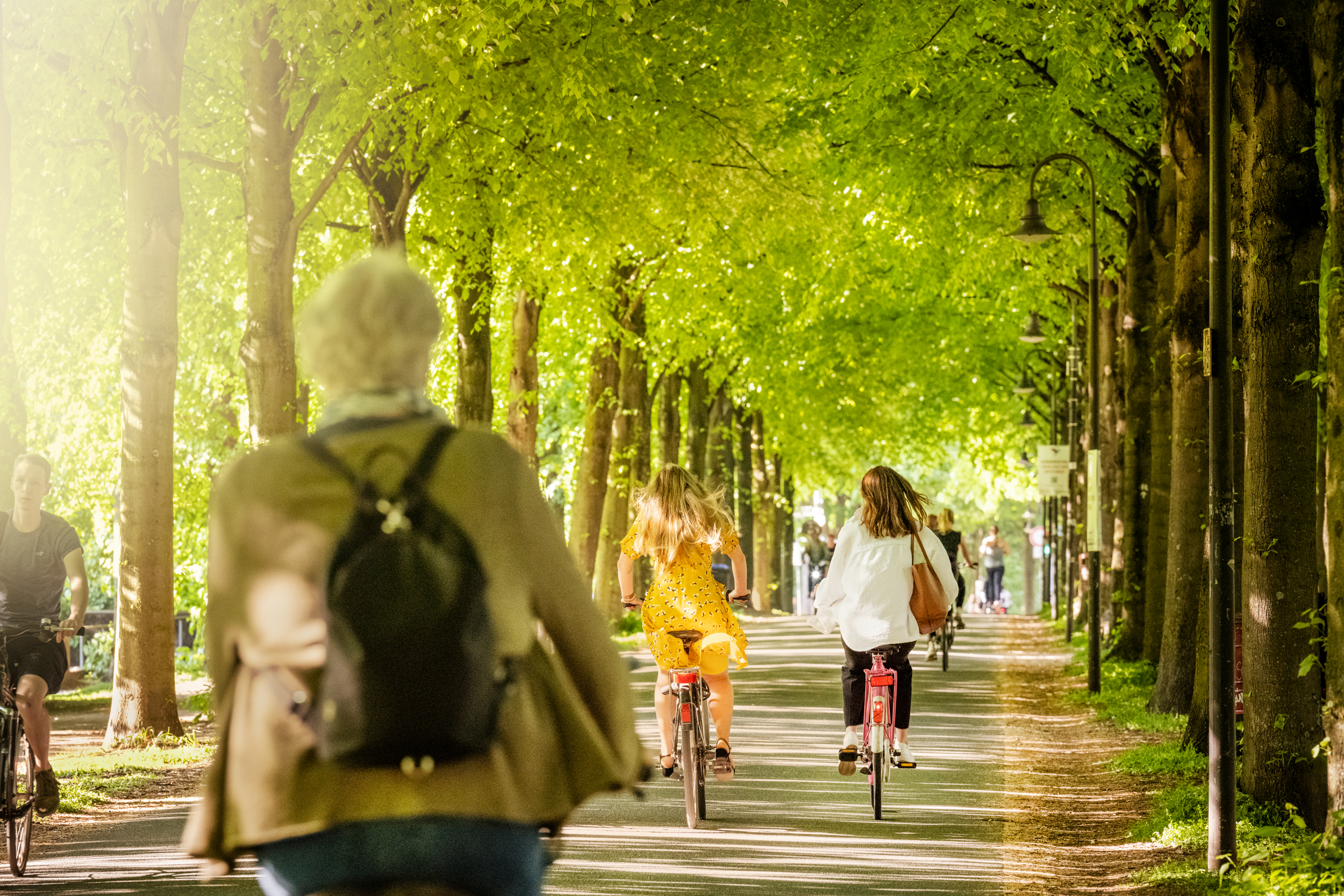 Radfahrer auf der Promenade