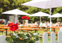 Biergarten Foto