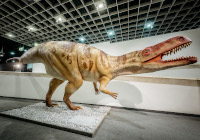 Dinosaurier, Foto: LWL/Steinweg Dinosaurier
