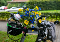 Fahrrad mit Blumen