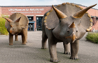 Dino voor het museum