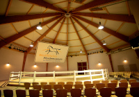 Arena in het paardenmuseum