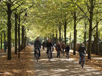 Bicyclists on the promenade