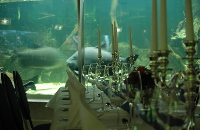 Aquarium im Allwetterzoo Münster