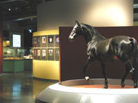 Westfälisches Pferdemuseum im Allwetterzoo Münster (Westphalian Horse Museum in the Münster All-weather zoo)