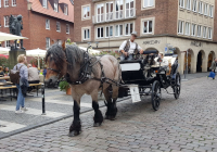 Pferdekutsche Pferdekutsche