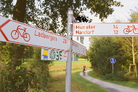 Signs Foto