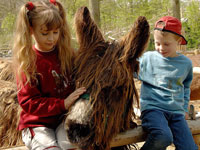Children with giant donkey in the children’s and horse park