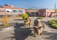 LWL-Museum für Naturkunde - Westfälisches Landesmuseum mit Planetarium