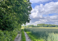 Wanderweg in Albachten