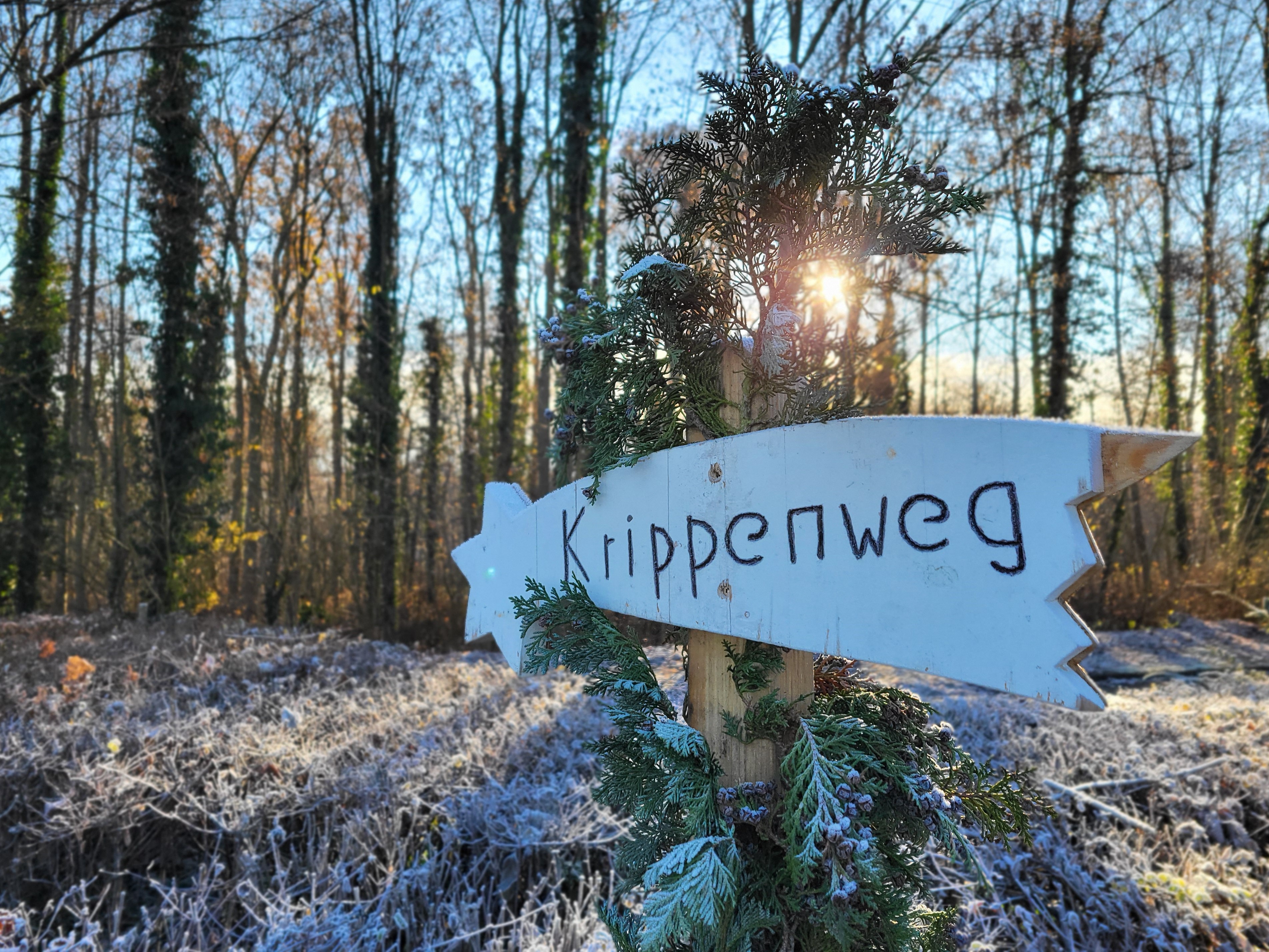 Das Bild zeigt den Wegweiser zum Handorfer Krippenweg