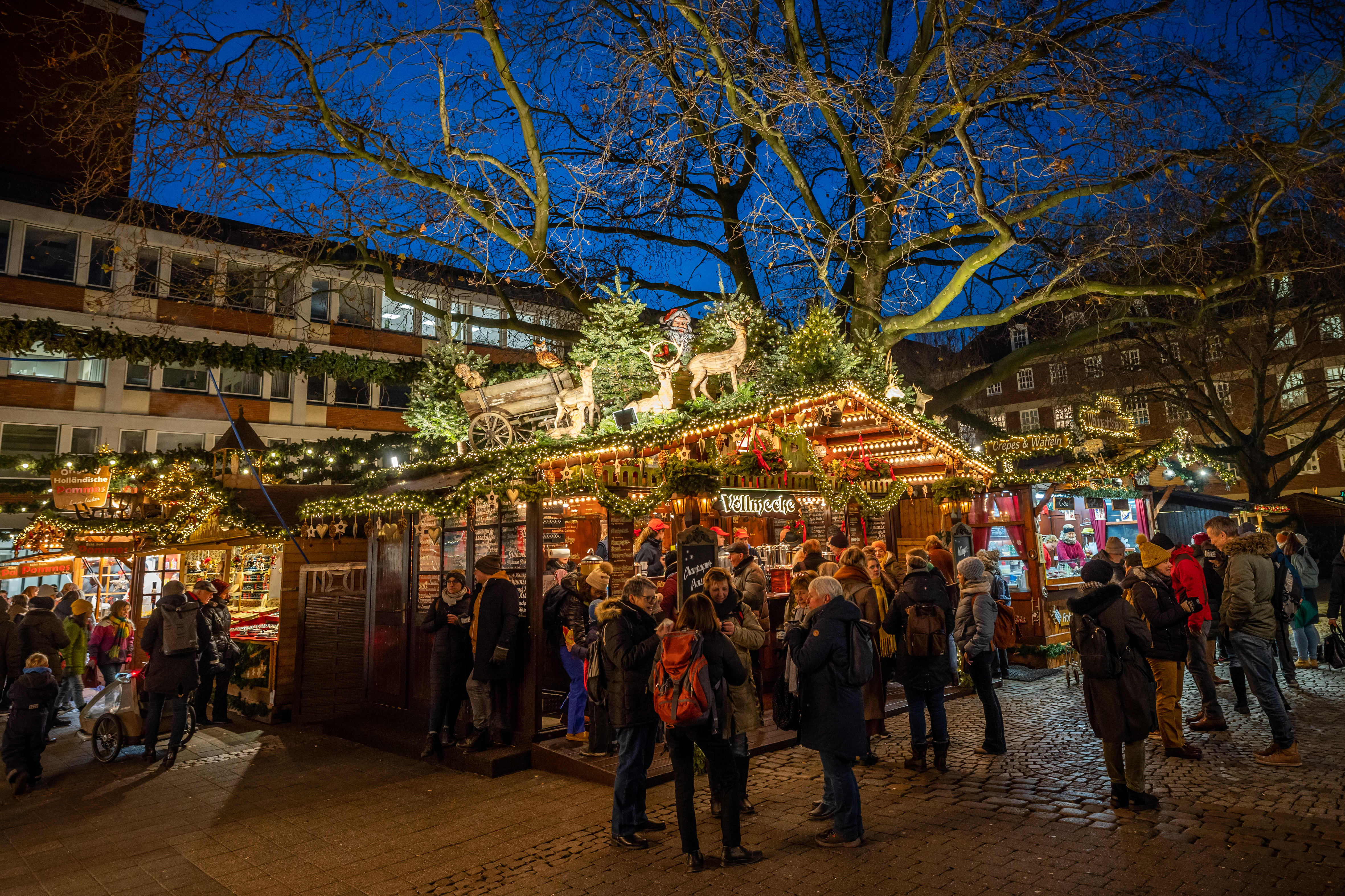 Weihnachtsmarkt im Dunkeln, beleuchtete Bäume und Stände mit Menschen