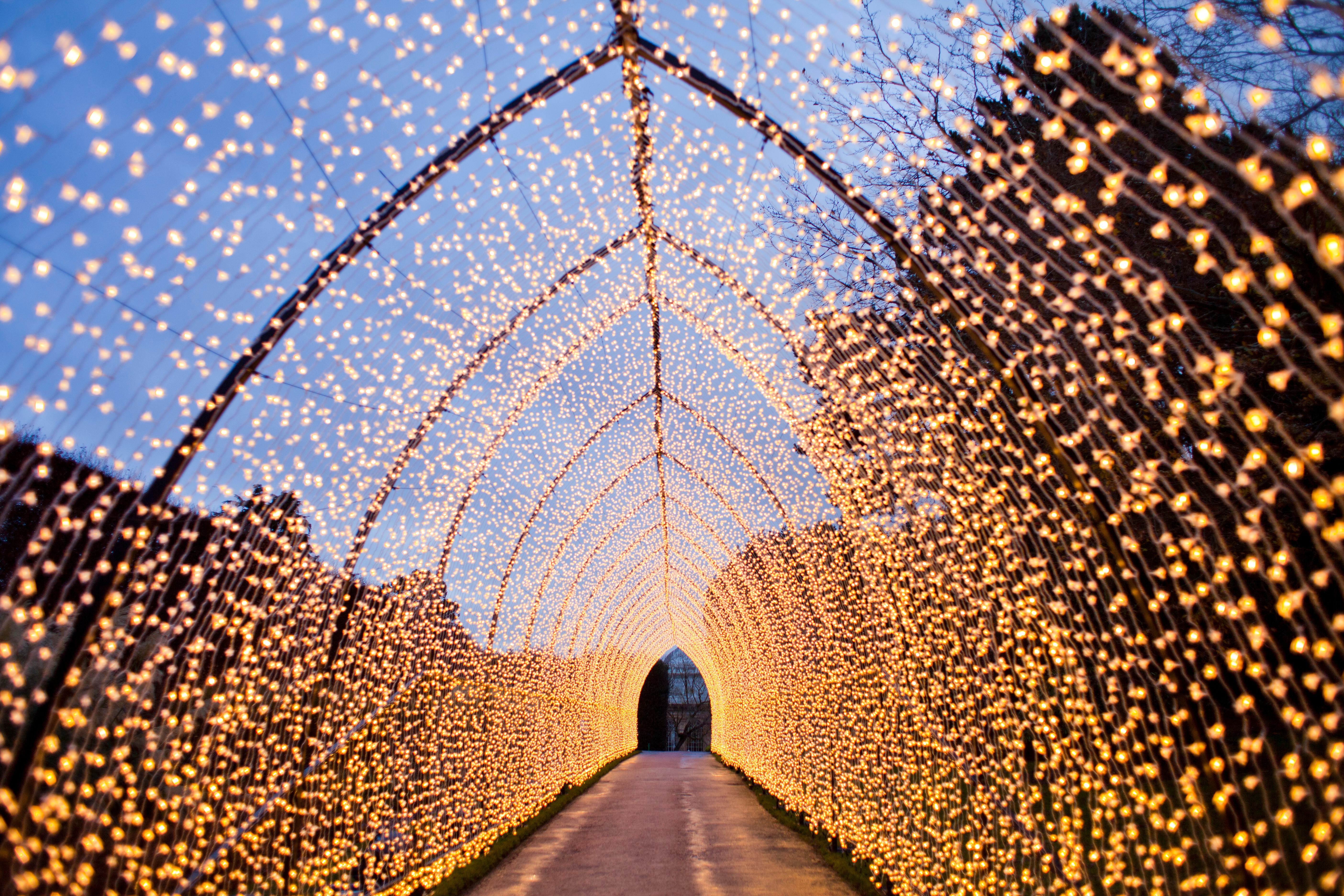 Lichtinstallationen im Allwetterzoo Münster