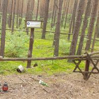 In einem Wald ist eine kreisförmige Fläche mit einem Holzlauf abgetrennt. Daran hängt ein Davidstern, davor liegen Blumen und stehen Kerzen.