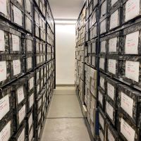 Zwei Archivregalreihen sind voller Archivboxen.