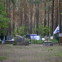 Gedenksteine im Wald von Lupochowa, im Hintergrund ein abgezäuntes Massengrab