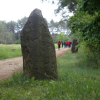 Findling auf einem Weg neben Feldern und Wald