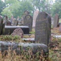 Grabsteine auf einem jüdischen Friedhof