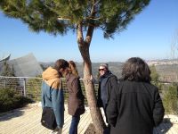 Stefan Querl vor einem Baum und neben drei weiteren Personen auf dem Gelände der Holocaust-Gedenkstätte Yad Vashem, im Hintergrund weite Landschaft