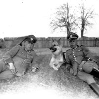 Zwei Polizisten in Uniform liegen seitlich aufgestützt im Gras, zwischen ihnen liegt ein Schäferhund. Beide schauen nicht direkt in die Kamera.