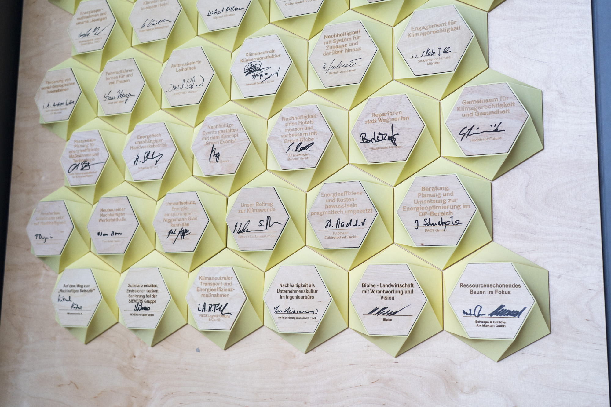 Mehrere sechseckige Holzkacheln mit handschriftlichen Unterschriften auf einem hellen Untergrund angeordnet