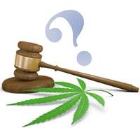 Illustration zum Thema Cannabis Hanfblatt unter einem Richterhammer