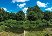 Blick auf das renaturierte Flussbett der Aa (Foto: Presseamt Münster) Blick auf das renaturierte Flussbett der Aa (Foto: Presseamt Münster)