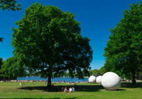 Foto: Presseamt Münster / MünsterView Blick auf die Aaseewiese mit Kunstwerk "Pool Balls"