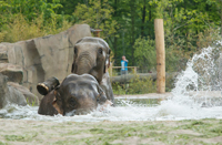 Allwetterzoo Münster: Der Bullentrakt ist als Energie-Effizienz-Haus gebaut. Ein Bild zu den Energiesparmaßnahmen des Allwetterzoos.