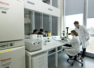 Max-Planck-Institut Max-Planck-Institut