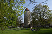 Grüne Stadt – Green City