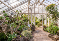 Botanischer Garten Botanischer Garten