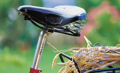 Fahrradsattel Fahrradsattel