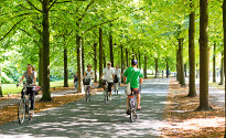 Radfahrer auf der Promenade Radfahrer auf der Promenade
