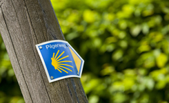 Wandern Wegweiser des Jakobswegs