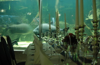 Aquarium im Allwetterzoo Münster Aquarium im Allwetterzoo Münster