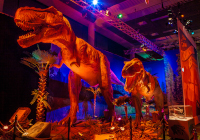 Tyrannosaurus Rex Foto