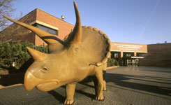 LWL-Museum für Naturkunde LWL-Museum für Naturkunde
