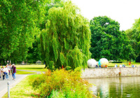 Aasee mit Aaseekugeln im Hintergrund Foto