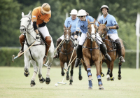 Polopicknick Polopicknick