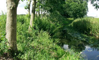 Auf dem Weg nach Amelsbüren Flusslandschaft