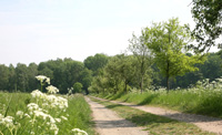 Von Münster nach Greven Feldweg