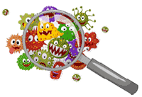 Keime unter der Lupe Grafik: shutterstock - Teguh Mujiono 235604623